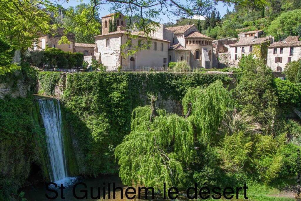 Charmante Cave Voutee 4 Personnes Saint-Jean-de-Fos Esterno foto
